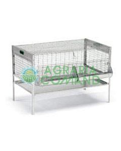 Jaula_de_pollo Jaula_de_pollo